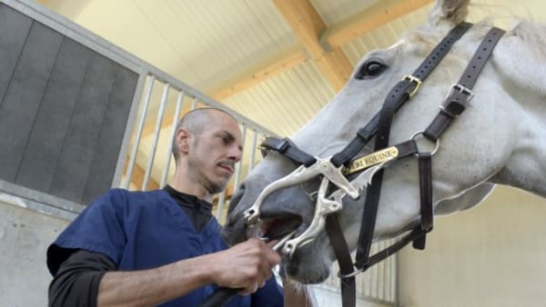 Foto: Lars Jakobsson/TR Bild