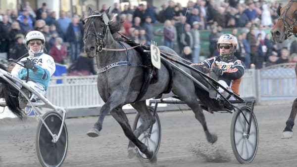 Foto: LARS JAKOBSSON/TR BILD