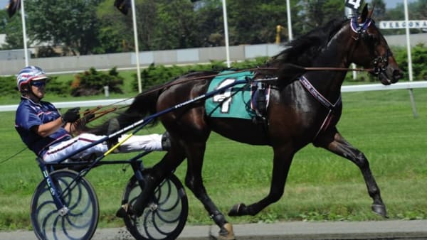 Foto: STEFAN MELANDER/STALLTZ.SE