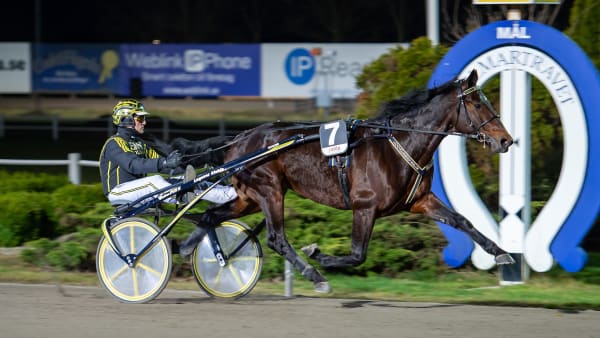 Foto: MIKAEL ROSENQUIST / TR BILD