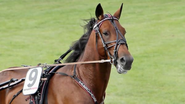 Foto: JEANNIE KARLSSON/TRAVRONDEN