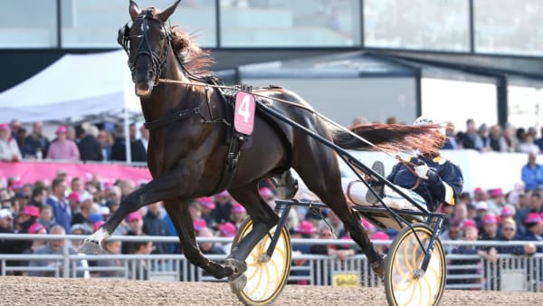 Foto: MICKE GUSTAFSSON/Travronden