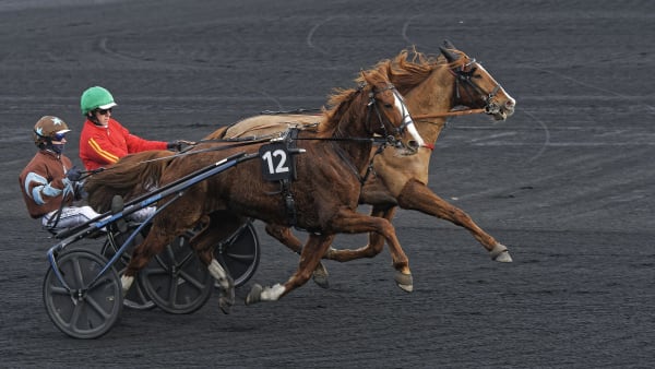 Foto: JEAN-LUC LAMAÉRE/LE TROT