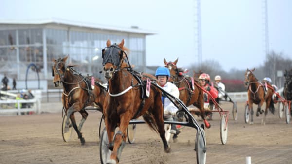 Foto: JÖRGEN TUFVESSON/ALN