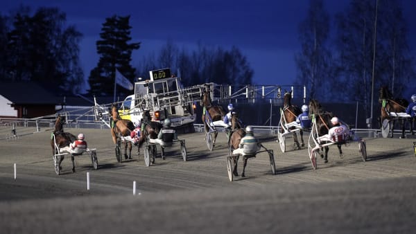 Foto: LARS JAKOBSSON / TR BILD