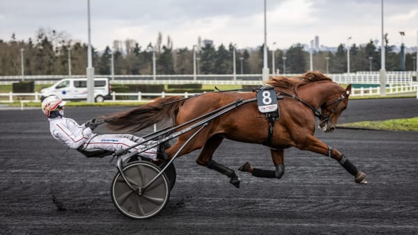 Foto: BRUNO VANDEVELDE/LE TROT