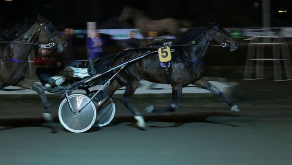 Foto: Hanna Laakso/Hippos