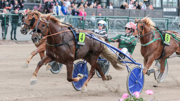 Foto: Ida Laine/Hippos.