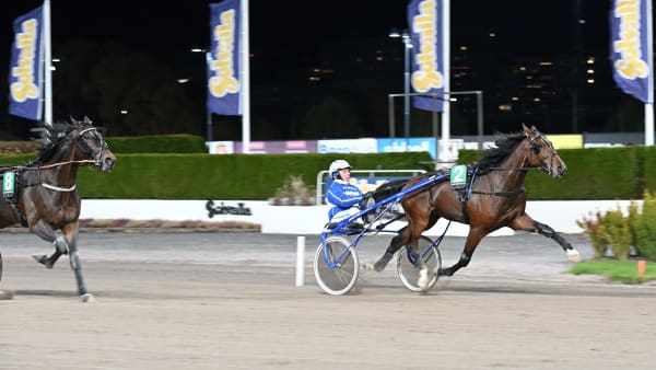 Foto: LARS JAKOBSSON/TR BILD