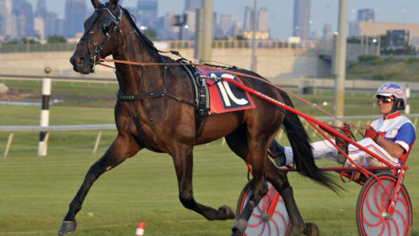 Foto: Stefan Melander/stalltz.se