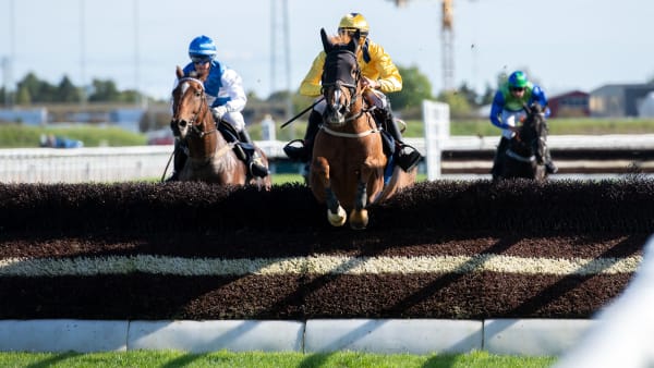 Foto: ELINA BJÖRKLUND/SVENSK GALOPP