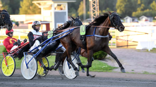 Foto: MALIN ALBINSSON / TR BILD