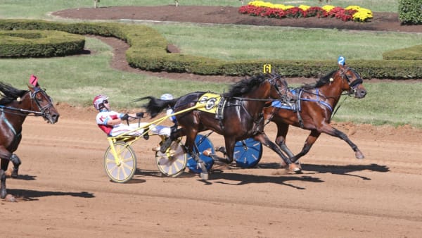 Foto: Mia Törnberg/Travronden