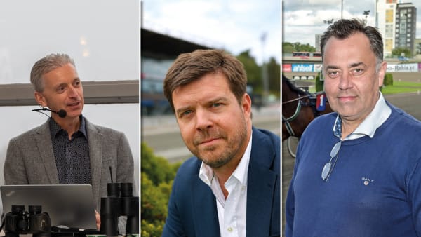 Foto: Mikael Rosenquist/Maria Holmén/Lars Jakobsson/TR BILD