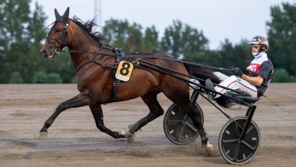 Foto: MIKAEL ROSENQUIST / TR BILD