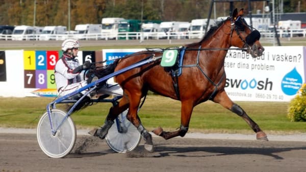 Foto: MICKE GUSTAFSSON/ALN