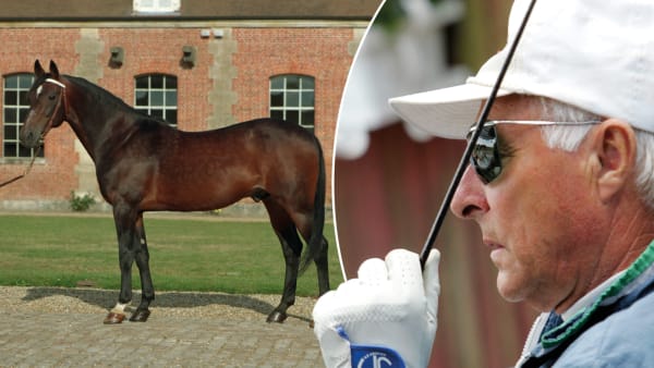 Foto: CLAES KÄRRSTRAND & TR BILD