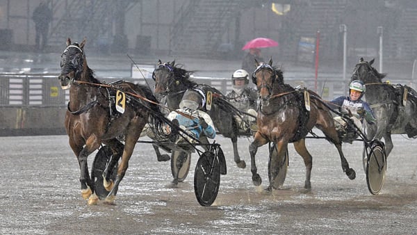 Foto: LEIF NORBERG/ALN