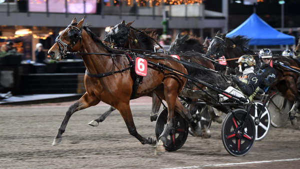 Foto: MALIN ALBINSSON / TR BILD