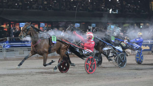 Foto: LARS JAKOBSSON / TR BILD