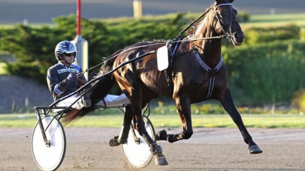 Foto: MIA TÖRNBERG/TRAVRONDEN