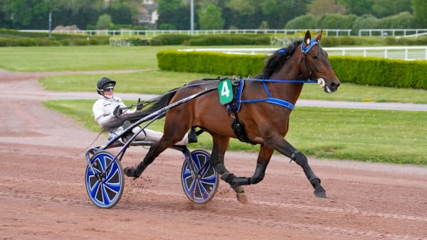 Foto: THOMAS BLOMQVIST / TR BILD