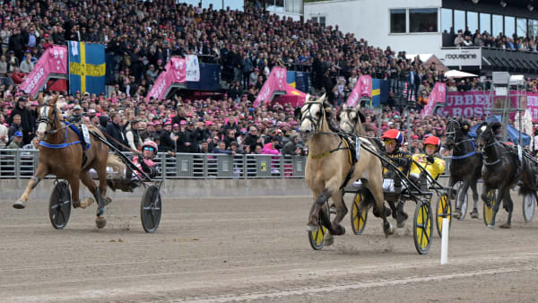 Foto: LARS JAKOBSSON / TR BILD