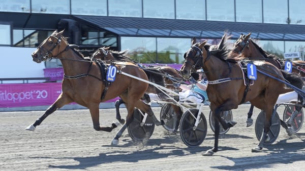 Foto: LARS JAKOBSSON / TR BILD