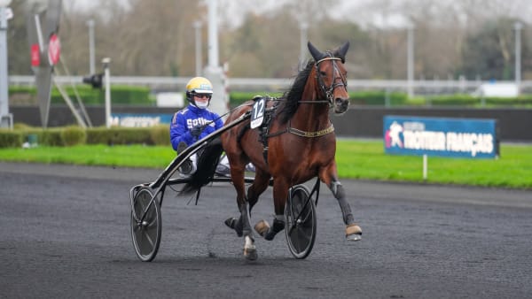 Foto: THOMAS BLOMQVIST/TR BILD