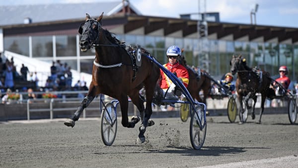 Foto: MALIN ALBINSSON / TR BILD