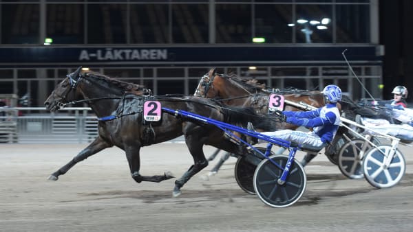 Foto: LARS JAKOBSSON / TR BILD