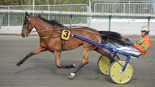 Foto: MALIN ALBINSSON / TR BILD