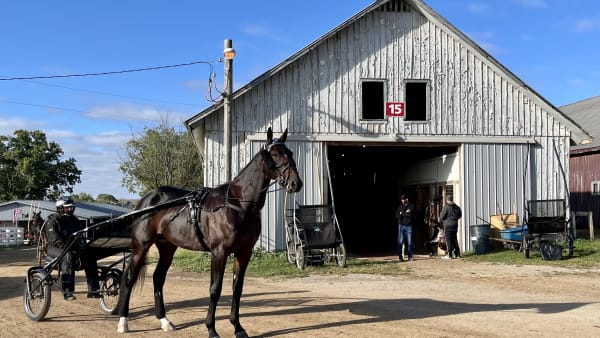 Foto: Mattias Holmgren/TR Bild