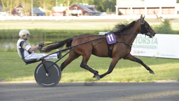 Foto: LARS JAKOBSSON / TR BILD