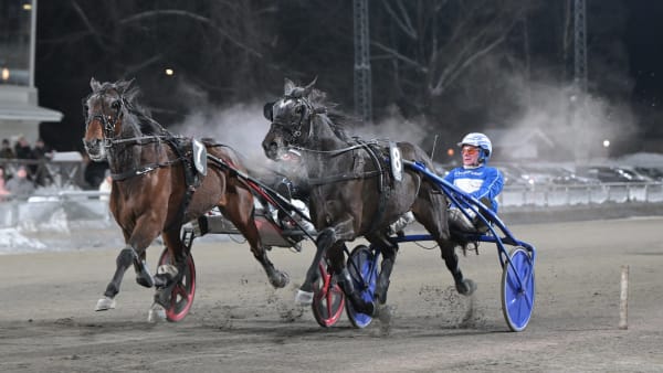 Foto: LARS JAKOBSSON / TR BILD