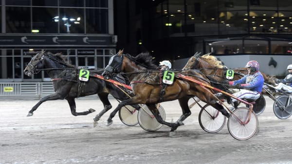 Foto: LARS JAKOBSSON / TR BILD