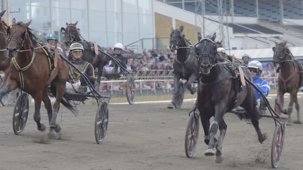 Foto: Lars Jakobsson/TR Bild