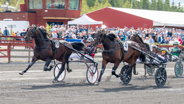 Foto: MIKAEL ROSENQUIST / TR BILD