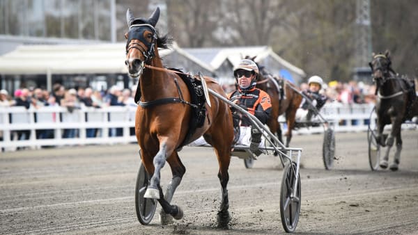 Foto: MALIN ALBINSSON / TR BILD