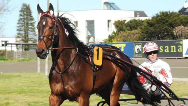 Foto: JÖRGEN TUFVESSON/ALN