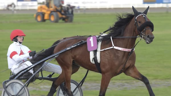 Foto: Lars Jakobsson/TR Bild