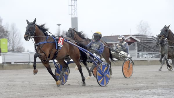 Foto: LARS JAKOBSSON / TR BILD