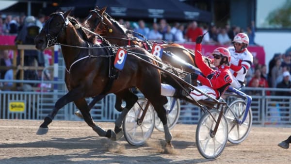 Foto: MICKE GUSTAFSSON/ALN