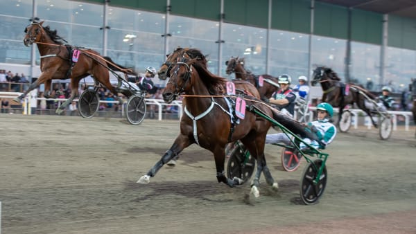 Foto: MIKAEL ROSENQUIST / TR BILD