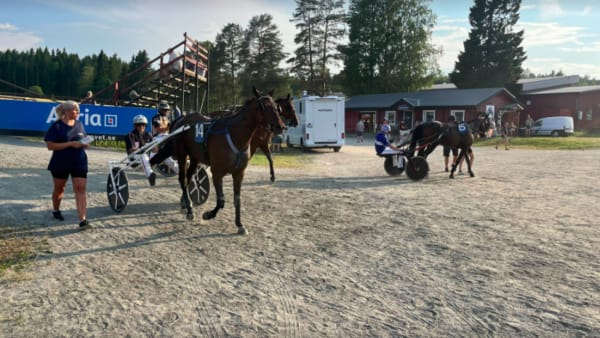 Foto: Patrick Sjöö / TR Media