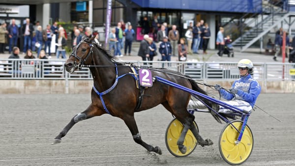 Foto: MARIA HOLMÉN / TR BILD