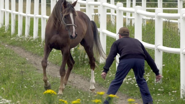 Foto: THOMAS BLOMQVIST / TR BILD