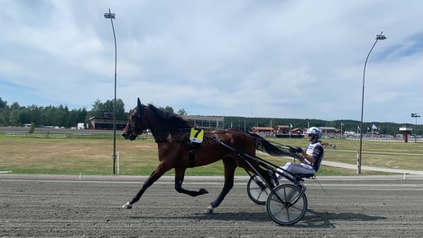 Foto: DENNIS ENGELBO/TR BILD