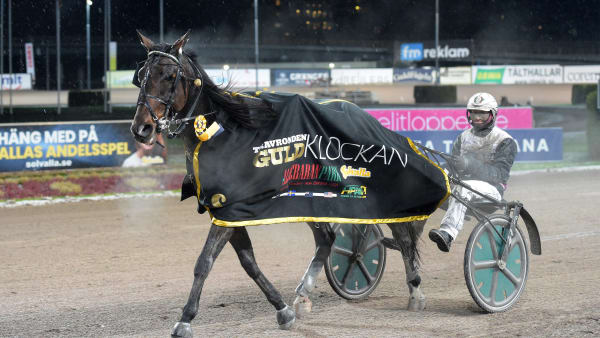 Foto: LARS JAKOBSSON / TR BILD