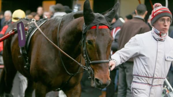 Foto: JEANNIE KARLSSON